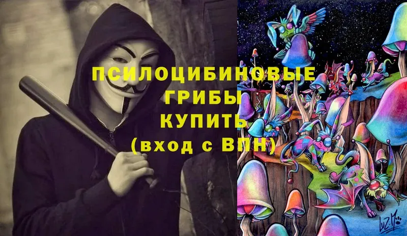 Галлюциногенные грибы Psilocybe Зеленогорск